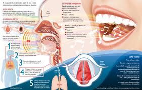 LIVRO DIGITAL GUIA DE SAÚDE VOCAL PARA ROFESSORES